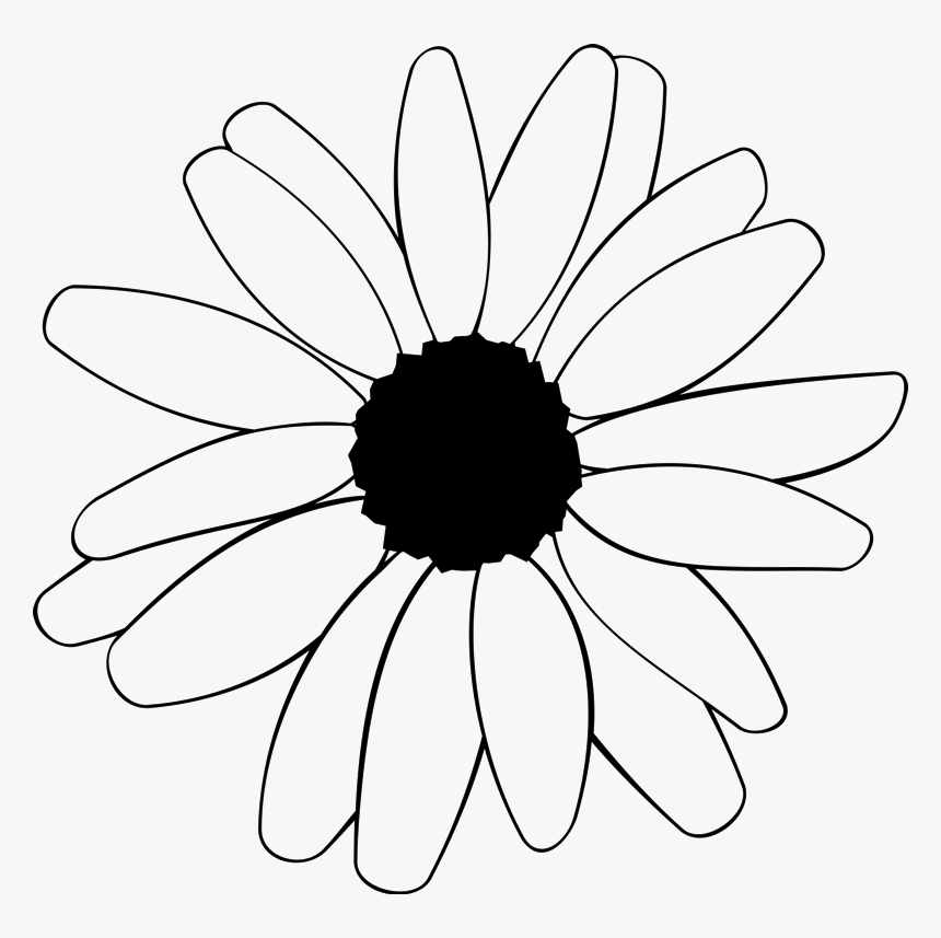Black Eyed Susans Outline, HD Png Download, Free Download