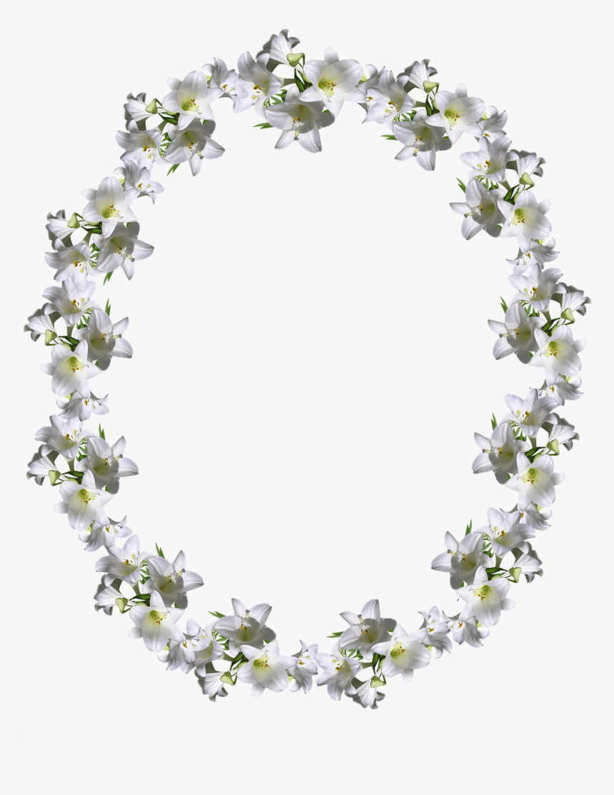 Frame, Border, White Lily, Floral Decoration - Felicitare Aniversare Casatorie, HD Png Download, Free Download