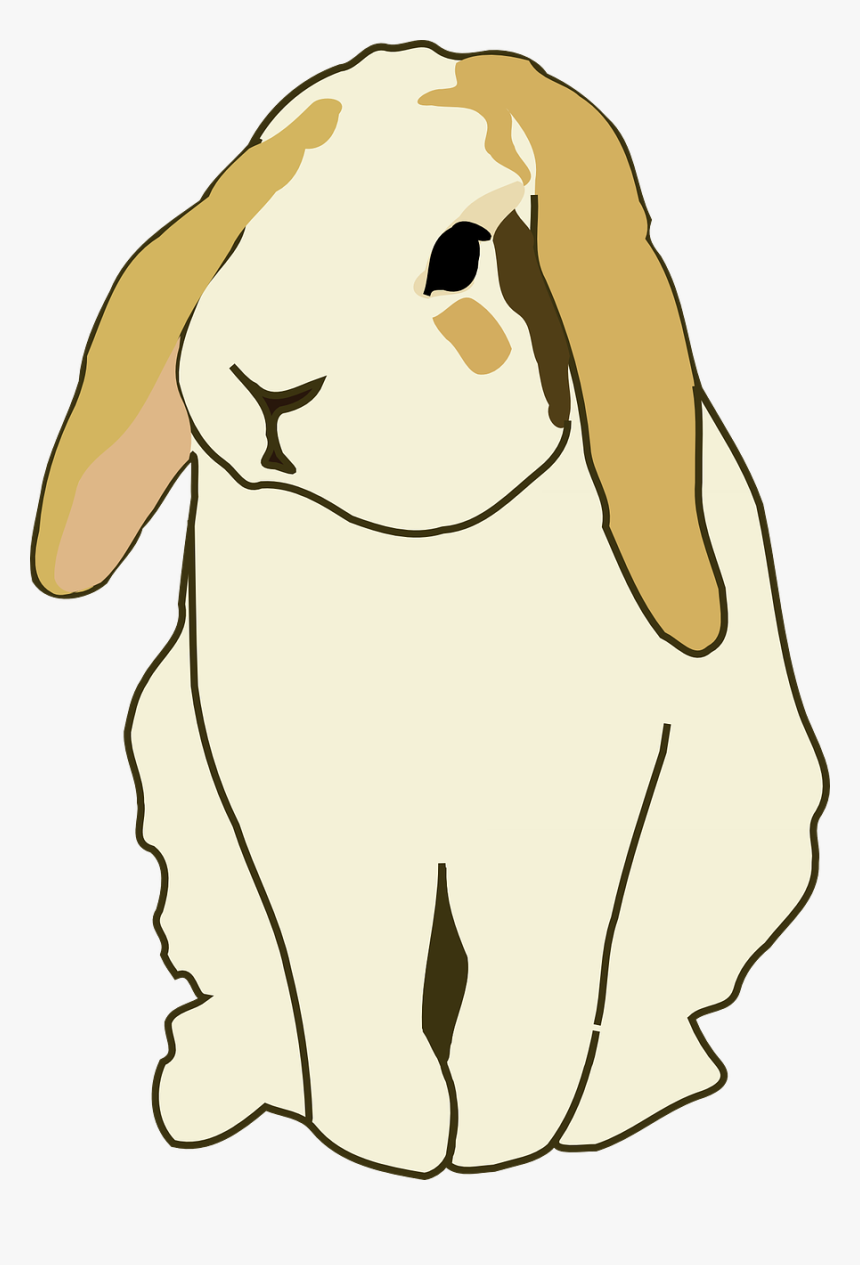 Transparent Rabbit Cartoon Png - Bunny Holland Lop Cartoon, Png Download, Free Download