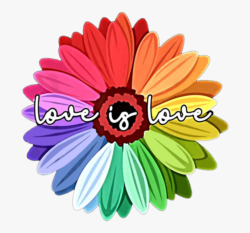 Love Is Love Rainbow, HD Png Download, Free Download