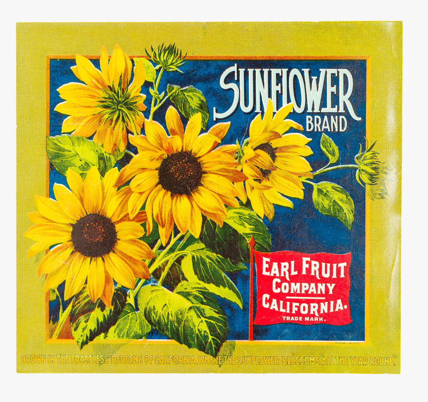 Fruit Label - "sunflower Brand - Sunflower, HD Png Download, Free Download