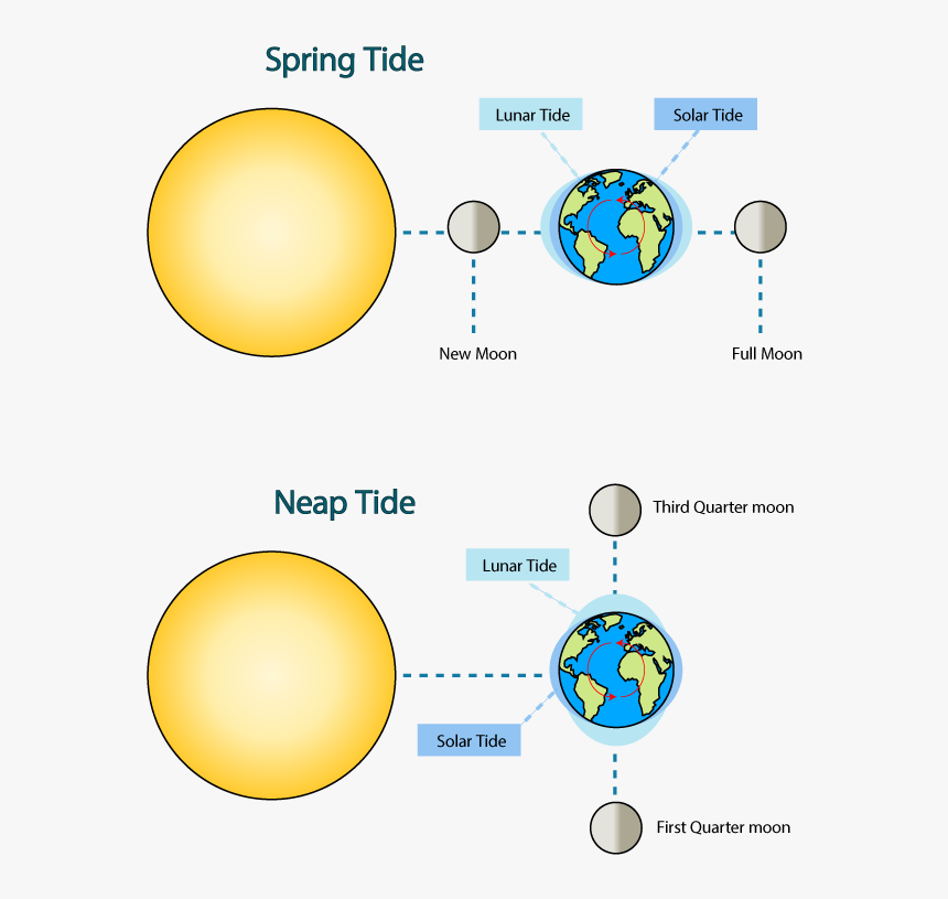 Moon Tides - Sun Earth And Moon During Spring Tide, HD Png Download, Free Download