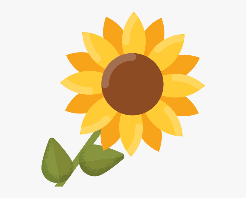 Common Sunflower Clip Art - Transparent Background Sunflower Clipart, HD Png Download, Free Download