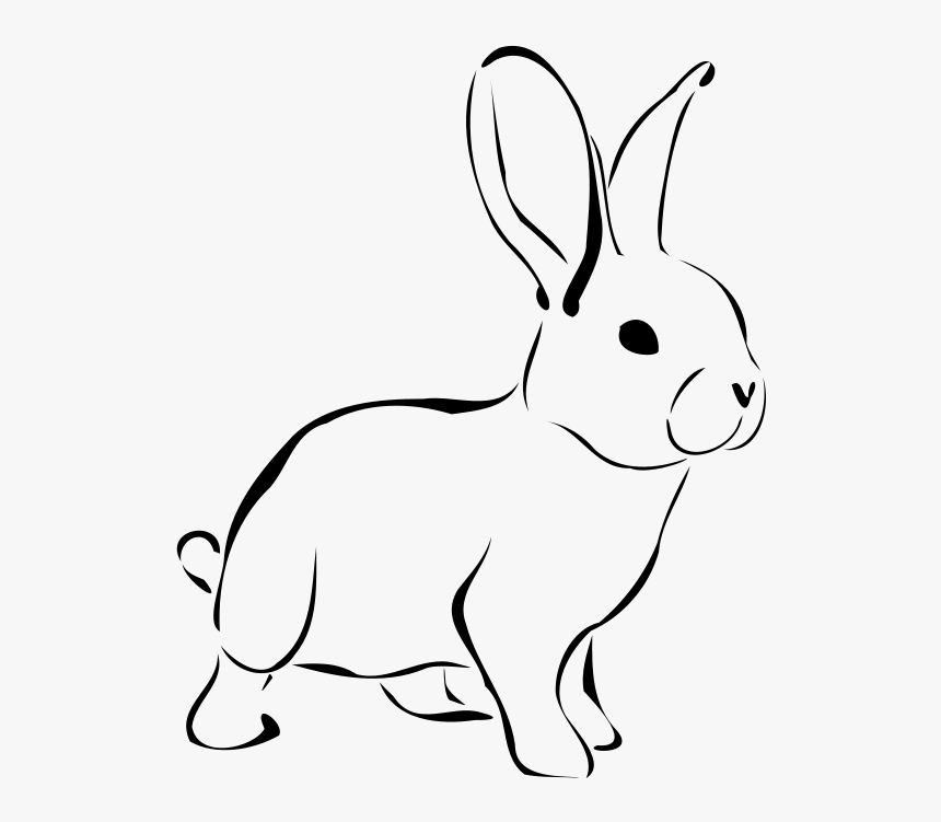 Line Art,wildlife,snout - Bunny Clipart Black And White, HD Png Download, Free Download