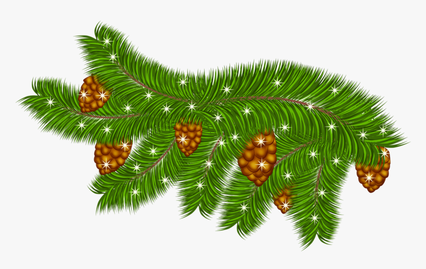 Transparent Pine Branch With Pine Cones Png Clipart - Clip Art, Png Download, Free Download