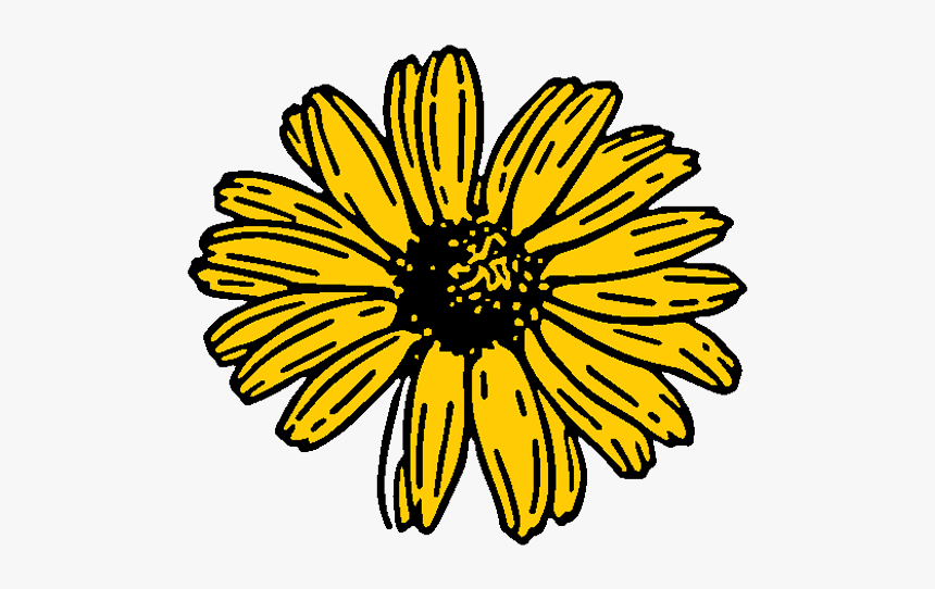 Logo - Black Eyed Susan Clipart, HD Png Download, Free Download