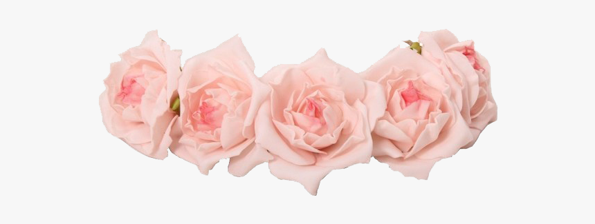 Coroa For Free - Pink Flower Crown Png, Transparent Png, Free Download