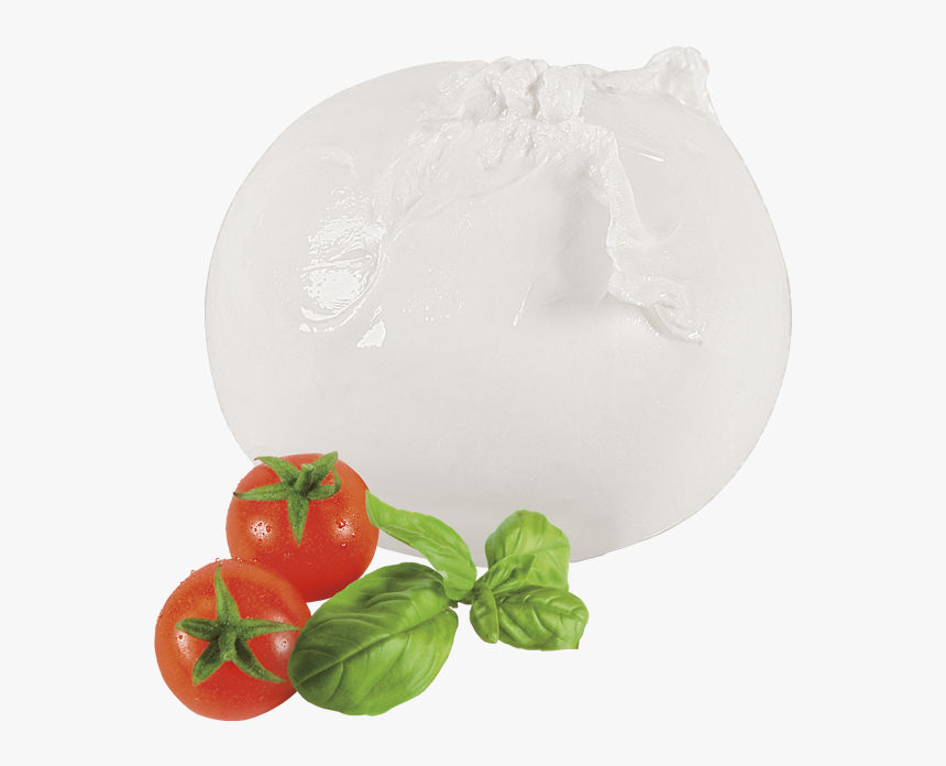 Mozzarella Di Bufala Png - Water Buffalo Buffalo Mozzarella Buffalo, Transparent Png, Free Download