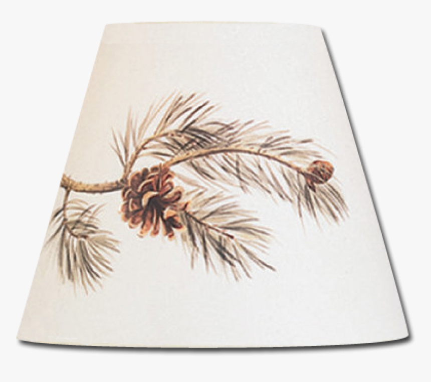 Pine Bough Png, Transparent Png, Free Download