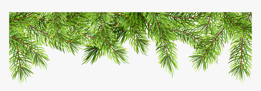 Transparent Pine Branches Clipart - Pine Border Clip Art, HD Png Download, Free Download