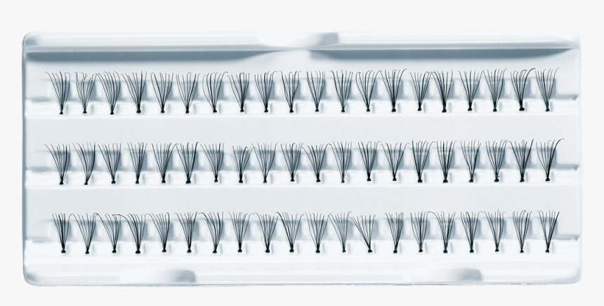 60 Professional Individual False Eyelashes, HD Png Download, Free Download