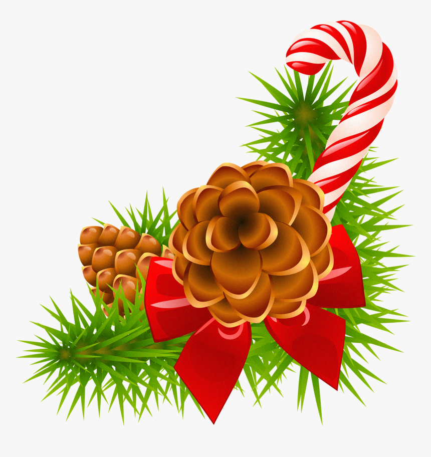 Clip Art Clipart No - Christmas Pine Cones Clipart, HD Png Download, Free Download