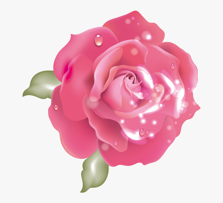 Clip Art With Roja Top Cheap - Garden Roses, HD Png Download, Free Download
