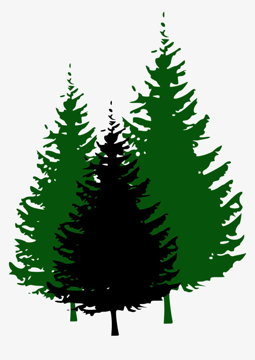 Pine Tree Fir Clip Art - Pine Tree Silhouette Png, Transparent Png, Free Download