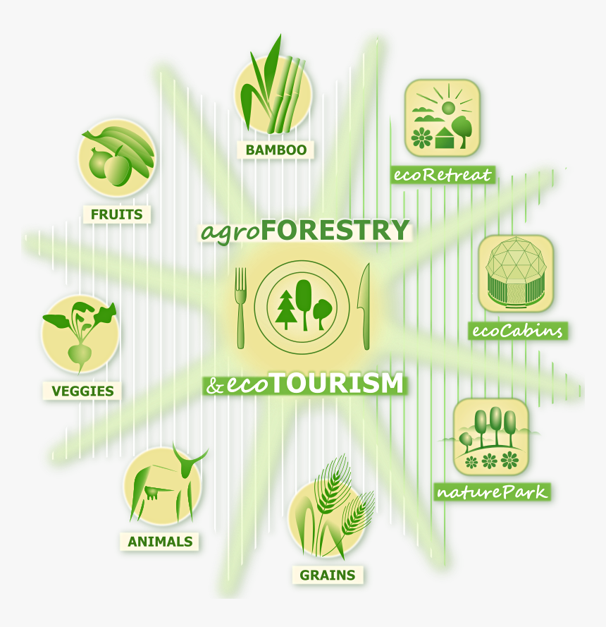Bffnuevo - Biodiversity Conservation And Agroforestry, HD Png Download, Free Download