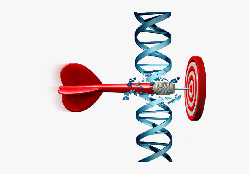 An Arrow Cutting Through Dna And Hitting Target - Target Treatment, HD Png Download, Free Download