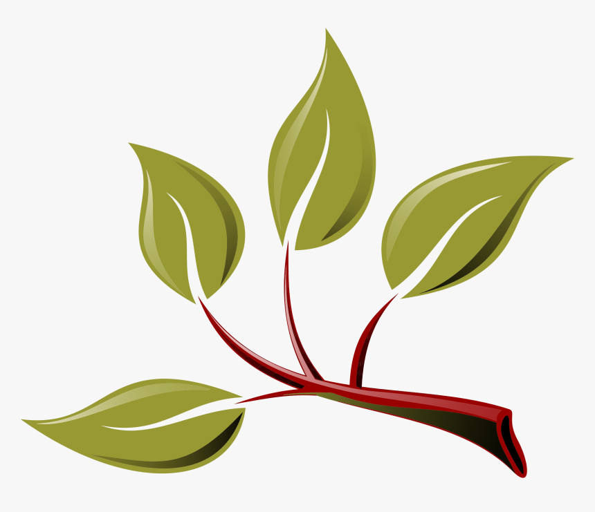 Branch Png Transparent Free - Branch With Leaves Clipart, Png Download, Free Download