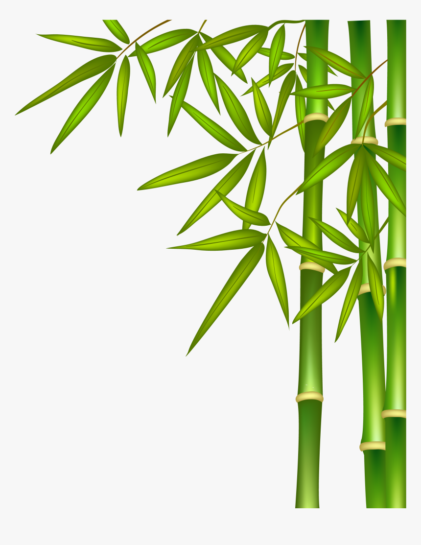 Transparent Bamboo Clipart - Bamboo Clipart Png, Png Download, Free Download