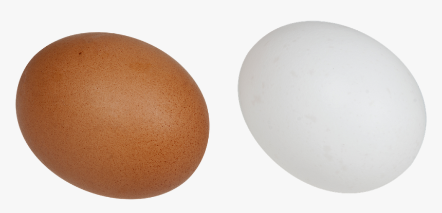 Eggs, White, Brown, Food, Breakfast, Chicken, Bird - Brunt Og Hvidt Æg, HD Png Download, Free Download