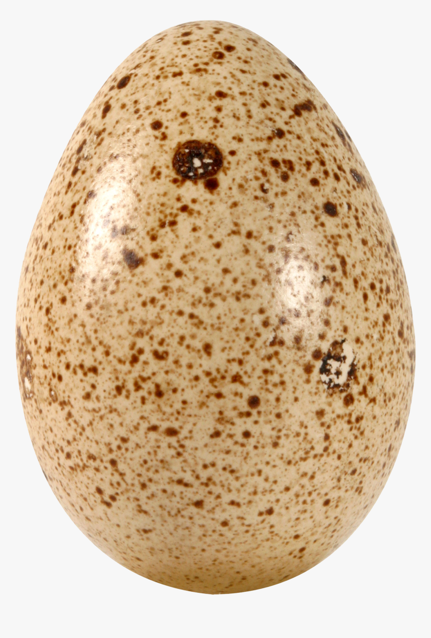 Egg Png - Huevo De Codorniz Png, Transparent Png, Free Download