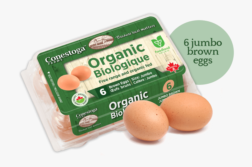 Organic Eggs - Does Organic Eggs Look Like, HD Png Download, Free Download