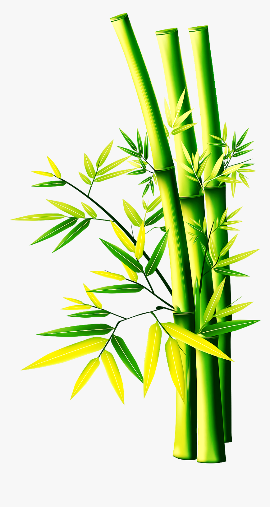 Clip Art Bamboo Graphic - Transparent Bamboo Png, Png Download, Free Download