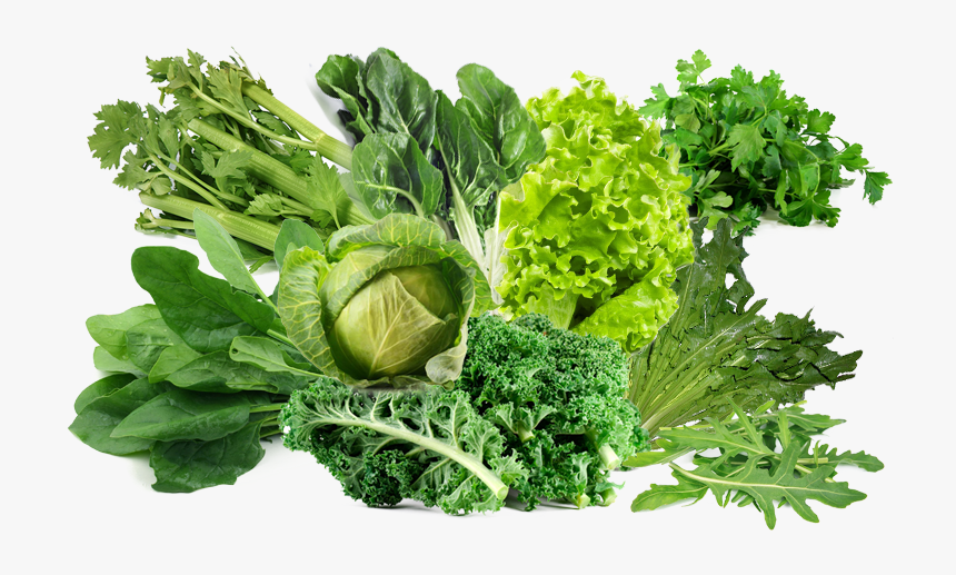 Verduras De Hoja Verde Png, Transparent Png, Free Download