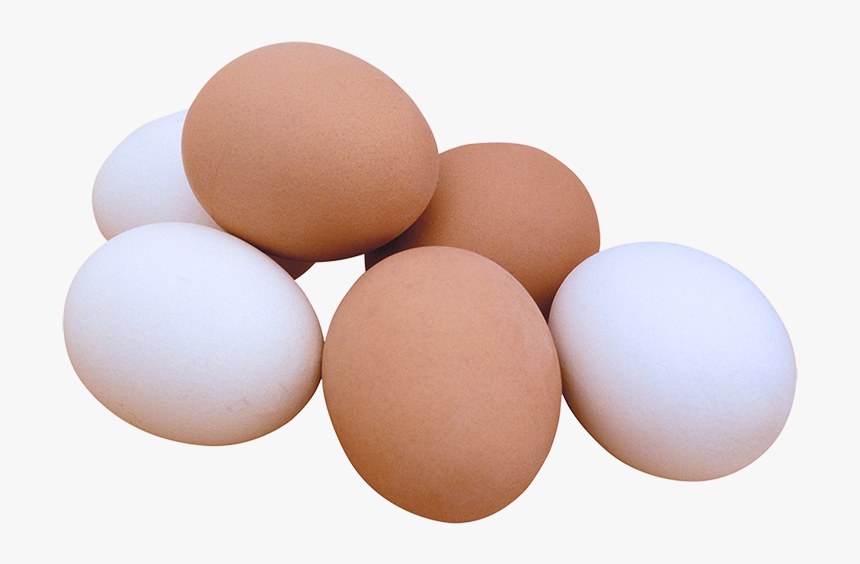 Egg Brown White Png, Transparent Png, Free Download
