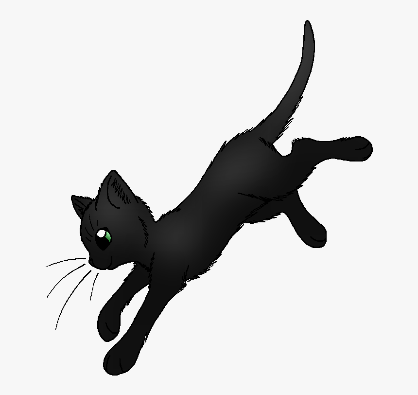 Holly Leaf Image - Warrior Cats Beech Tail, HD Png Download, Free Download