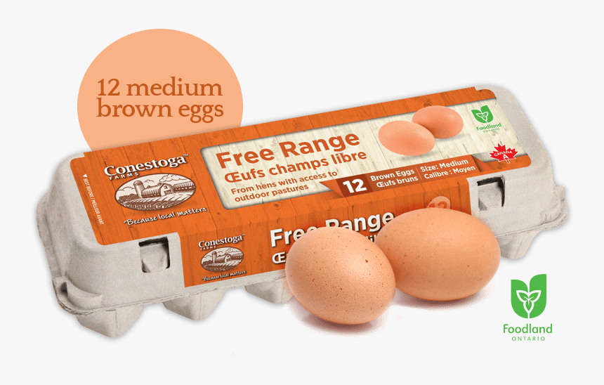 Freerange Lrg Min - Free Range Eggs, HD Png Download, Free Download