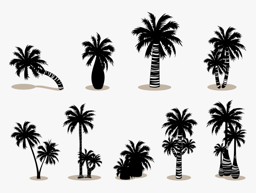 Arecaceae Silhouette Scalable Vector Graphics, HD Png Download, Free Download