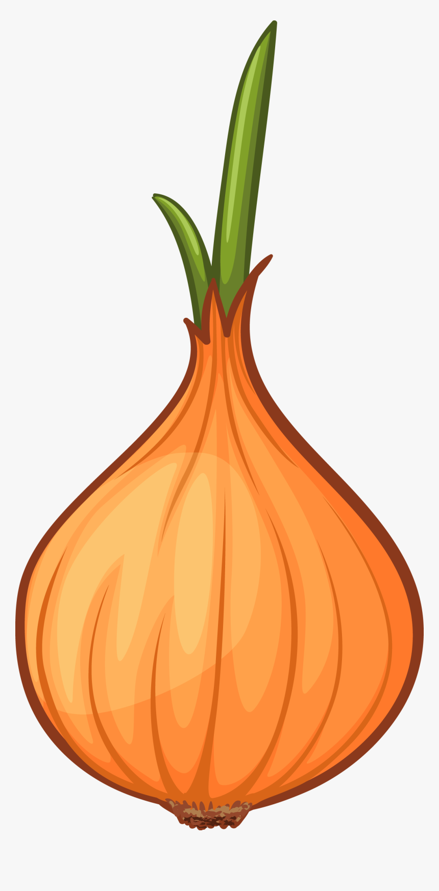 Calabaza Cartoon Clip Art - Transparent Background Onion Cartoon, HD Png Download, Free Download