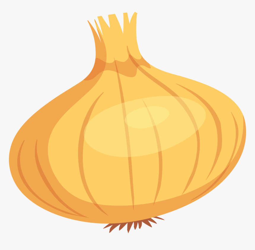 Yellow Onion, HD Png Download, Free Download