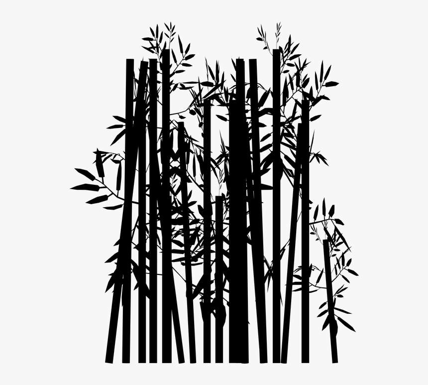 Nature, Decorative, Tree, Bamboo, Silhouette, Black - Silhouette, HD Png Download, Free Download