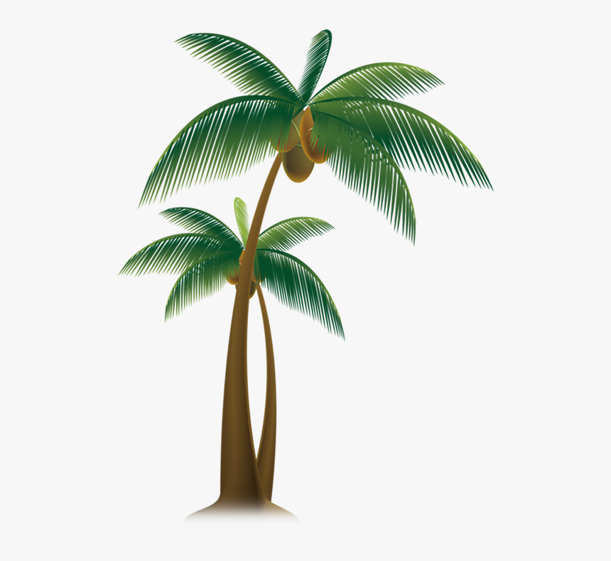 Vector Royalty Free Download Arecaceae Tree Trees Transprent - Animated Transparent Coconut Tree, HD Png Download, Free Download