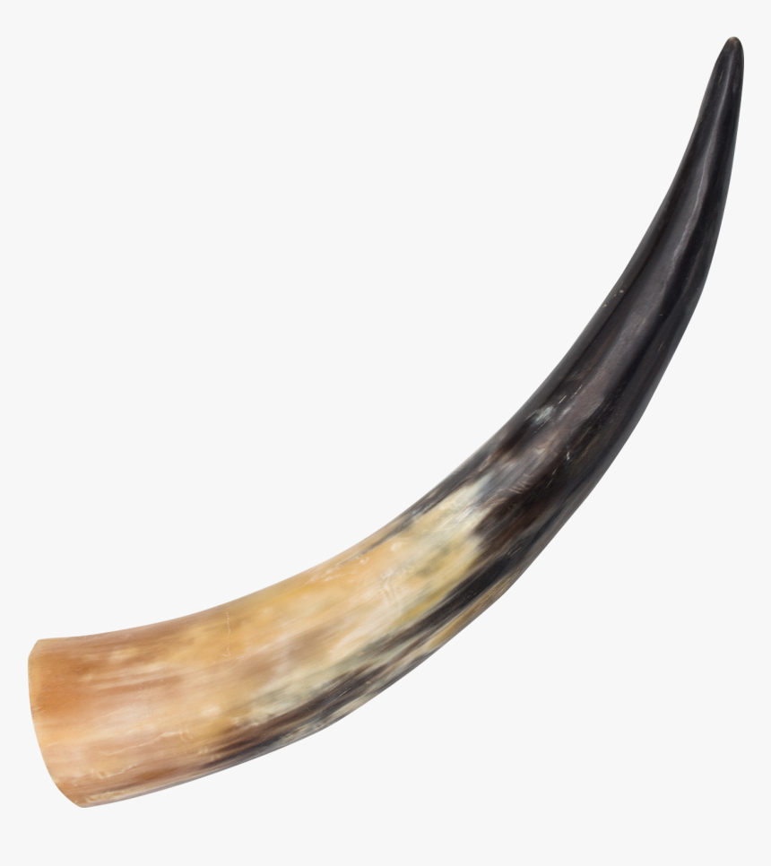 Medieval Animal Drinking Horn , , Panther Trading Company- - Animal Horn, HD Png Download, Free Download