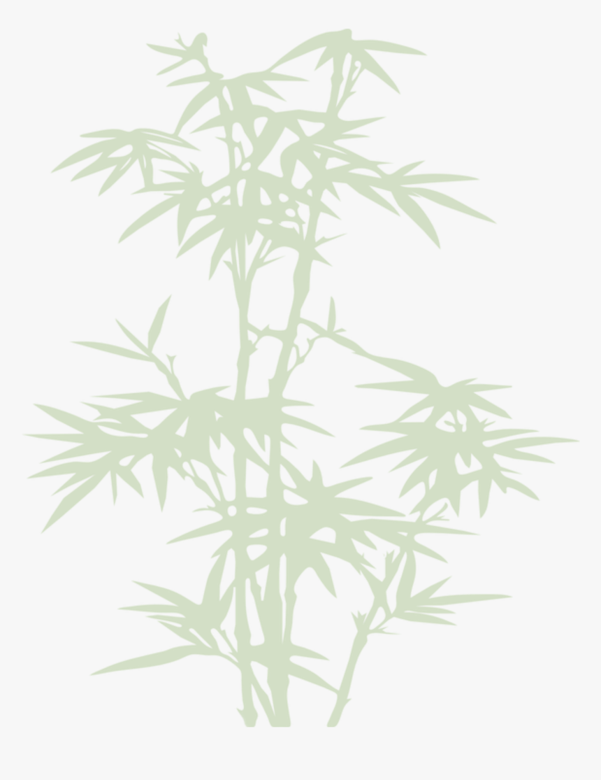 Bamboo, Plant, Leaves, Forest, Nature, Silhouette, - Bamboo, HD Png Download, Free Download