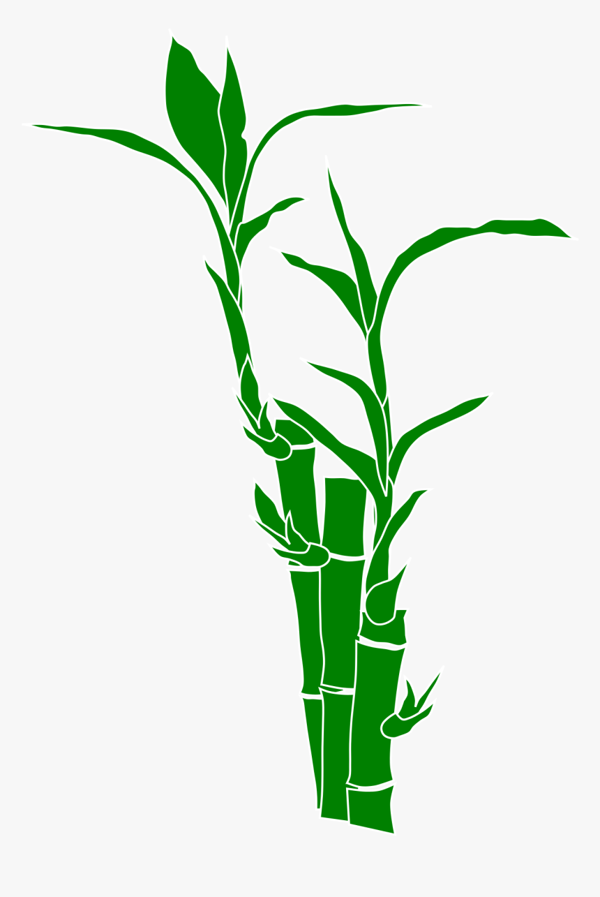 Download And Use Bamboo Png Clipart - Bamboo Clipart, Transparent Png, Free Download