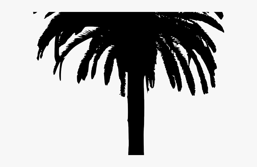 Transparent Bamboo Clipart - Silhouette Palm Tree Png, Png Download, Free Download