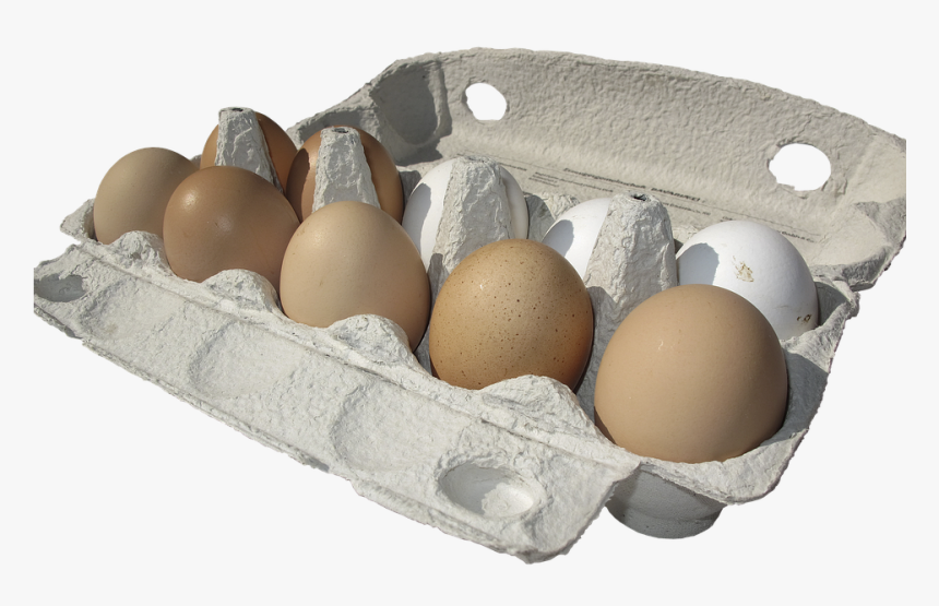 Eggs Carton Transparent Background, HD Png Download, Free Download