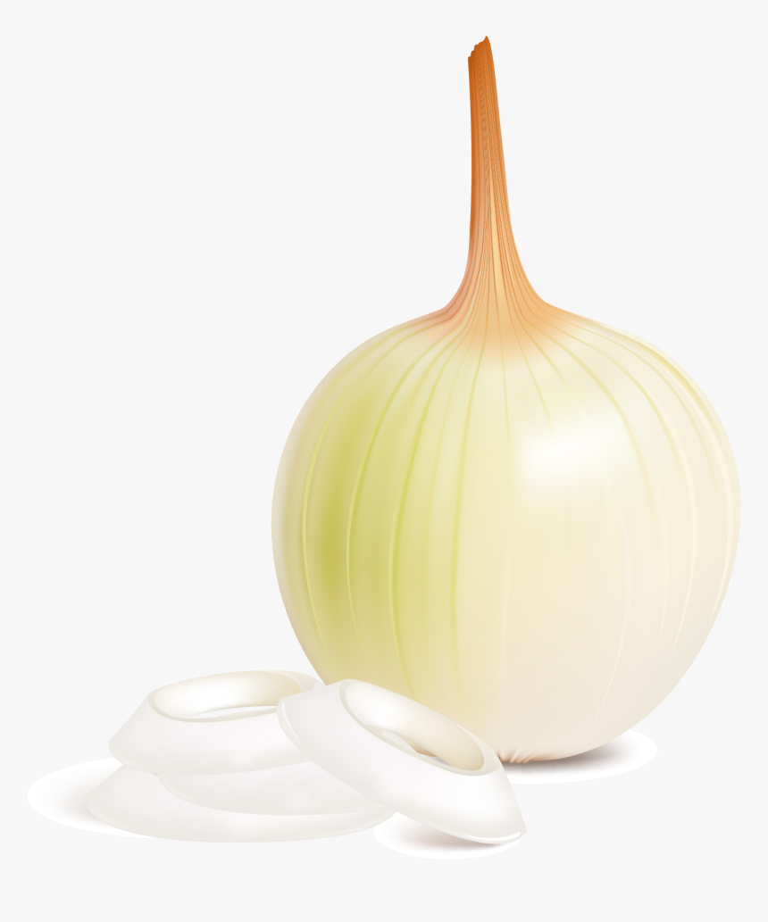 Elephant Garlic, HD Png Download, Free Download