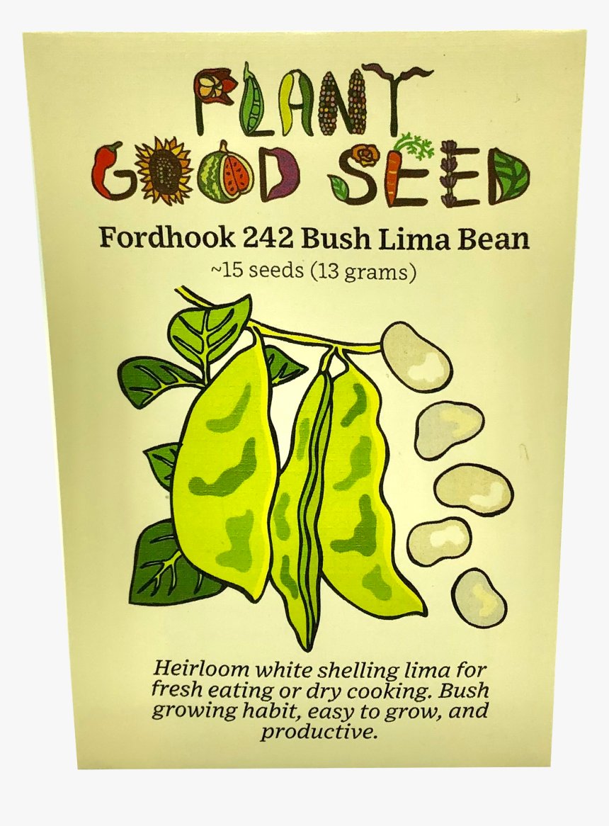 Fordhook 242 Bush Lima Bean - Seed, HD Png Download, Free Download