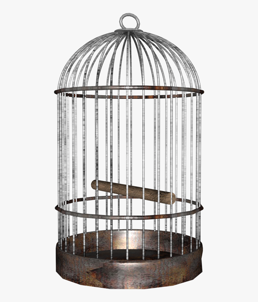 Transparent Background Birdcage Png, Png Download, Free Download