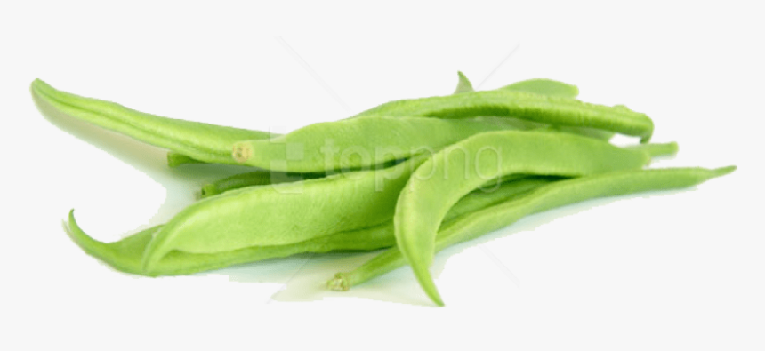 Green Bean Png - Green Beans Clipart Transparent, Png Download, Free Download