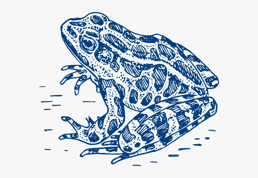 Frog Logo Svg Clip Arts - Frog Black And White, HD Png Download, Free Download