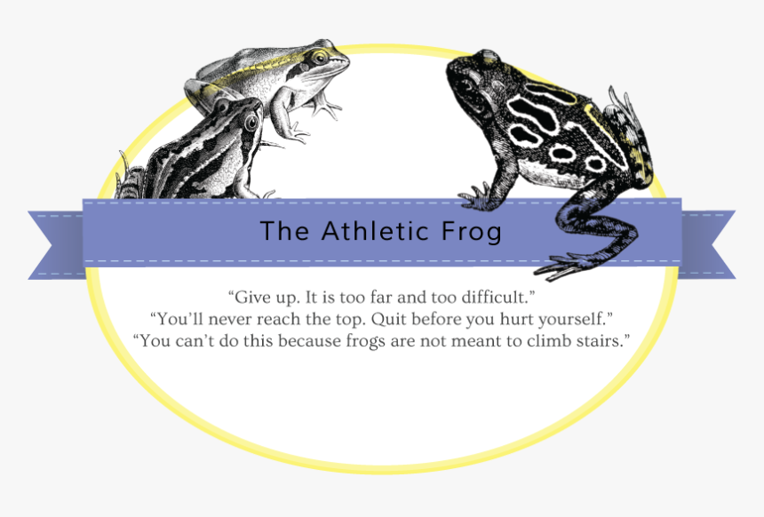 Athletic-frog - Southern Leopard Frog, HD Png Download, Free Download