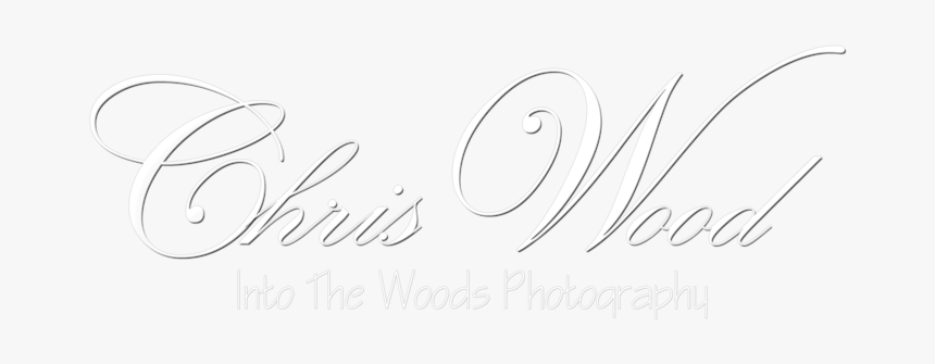 Into The Woods Photography Portfolio - Calligraphy, HD Png Download, Free Download