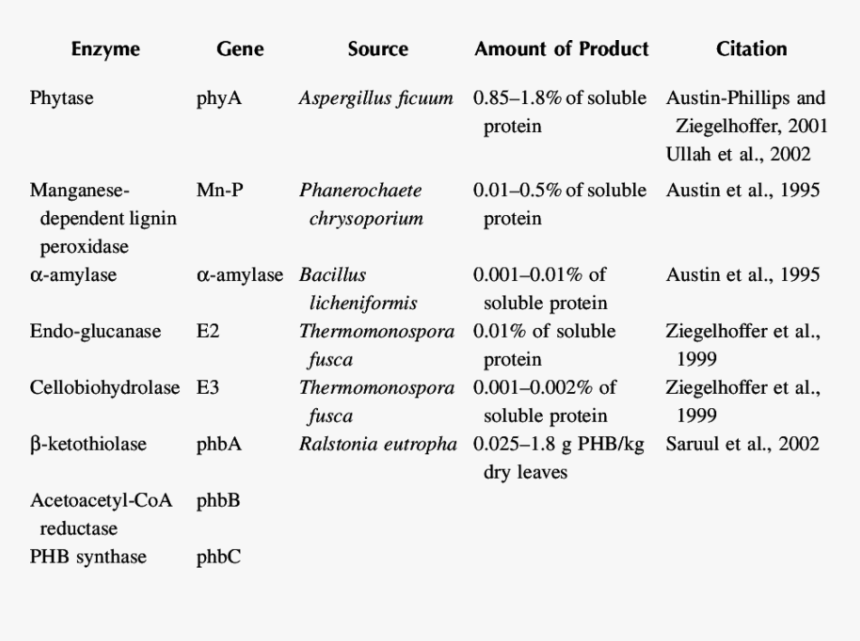 Enzymes Alfalfa, HD Png Download, Free Download