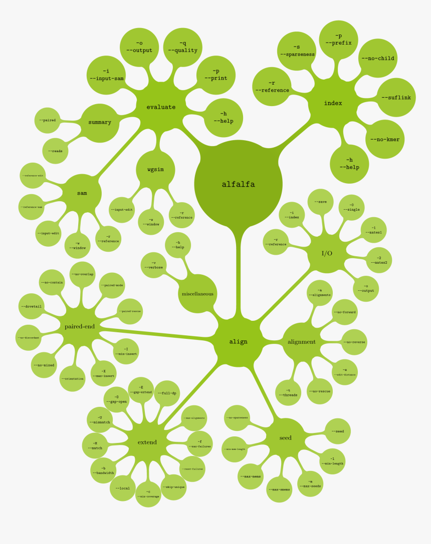 Alfalfa Command Line Anatomy - Portable Network Graphics, HD Png Download, Free Download