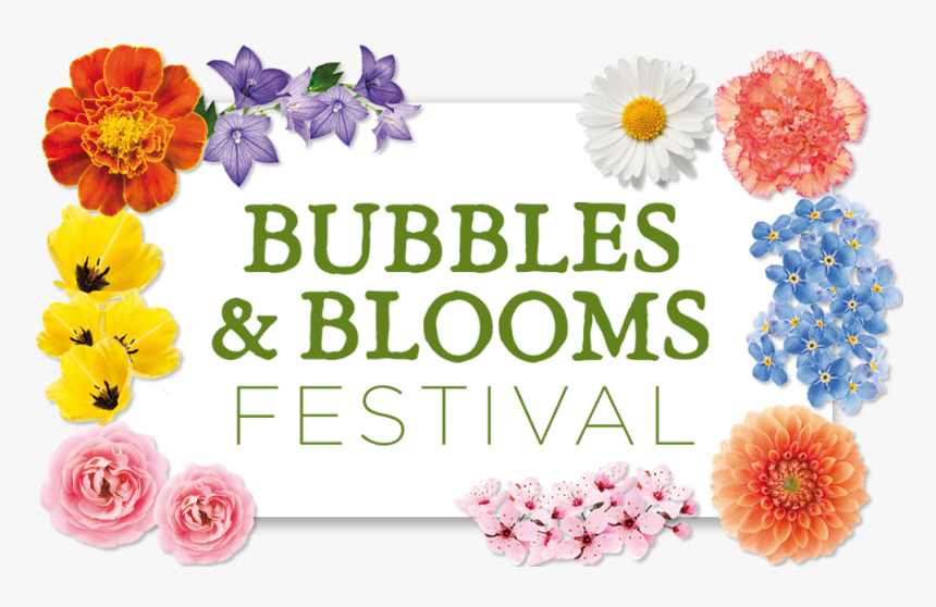 Bubbles And Blooms, HD Png Download, Free Download